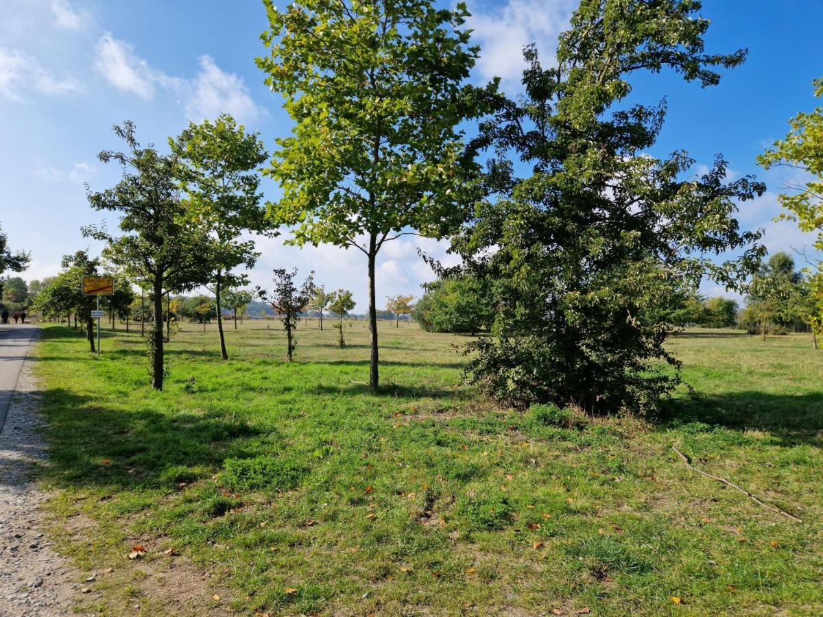 Heringsdorf - Moewe Exterior photo